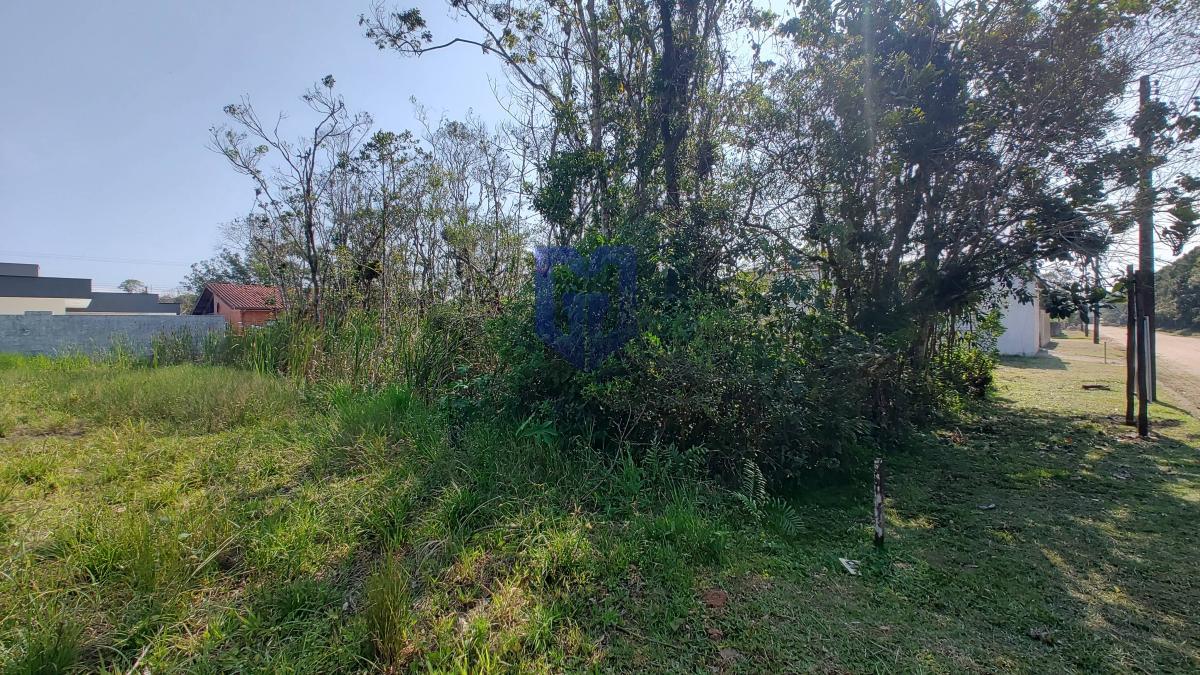 Lote em Condomínio, 360m², à venda em Peruíbe, Jardim São  Luis - Marcos Germano - Corretor de imóveis