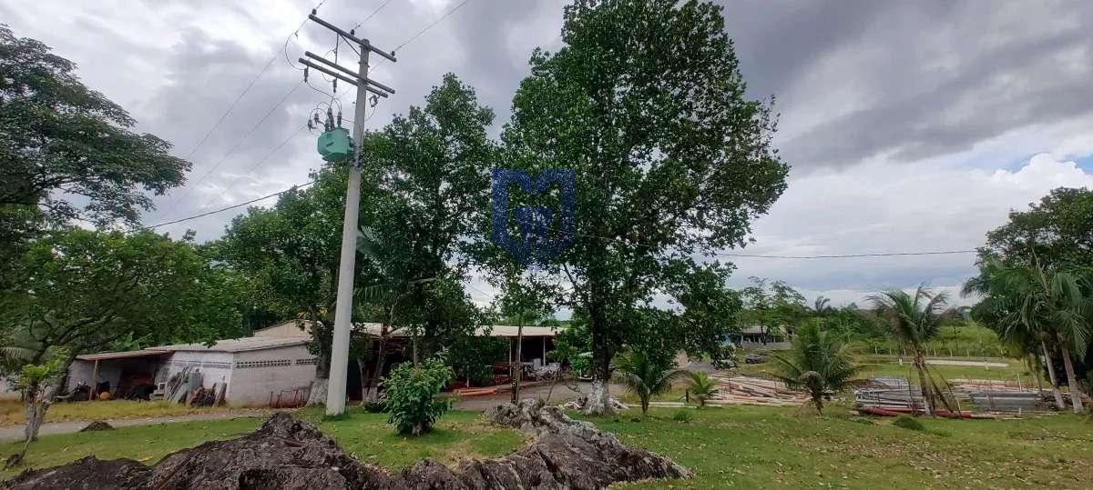 Oportunidade Industrial Estratégica na Rodovia Régis Bittencourt Sentido Sul - Marcos Germano - Corretor de imóveis